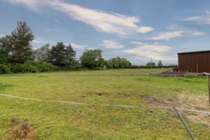 Paddock- click for photo gallery